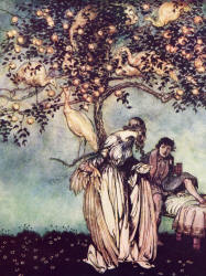 Arthur Rackham - 'Nine peahens flew towards the tree, and eight of them settled on its branches, but the ninth alighted near him and turned instantly into a beautiful girl' from ''The Allies' Fairy Book'' (1916)