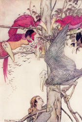 Arthur Rackham - 'The birds show the youn man the white dove's nest' from ''The Allies' Fairy Book'' (1916)