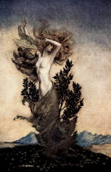 Arthur Rackham - '... as Daphne was, Root-bound, that fled Apollo' from ''Comus'' (1921)