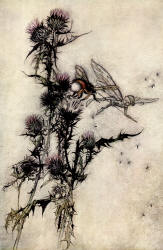 Arthur Rackham - 'Kill me a red-hipped humble-bee on the top of a thistle' from Shakespeare's ''A Midsummer-Night's Dream'' (1908)