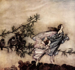 Arthur Rackham - 'The fairies have their tiffs with the birds' from ''Peter Pan in Kensignton Gardens'' (1906)