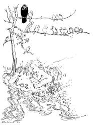 Arthur Rackham - 'The Birds on the Island never got used to him. His oddities tickled them every day' from ''Peter Pan in Kensignton Gardens'' (1912)