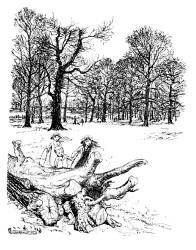 Arthur Rackham - 'Kensington Gardens' from ''Peter Pan in Kensignton Gardens'' (1912)
