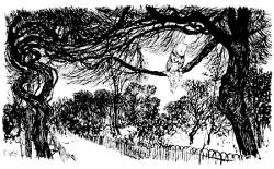 Arthur Rackham - Uncaptioned marginal illustration from ''Peter Pan in Kensignton Gardens'' (1912)