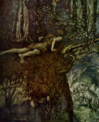 Arthur Rackham - 'And there I learned, What love was like' from ''Siegfried & The Twilight of the Gods'' (1911), written by Richard Wagner
