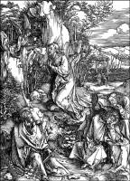 Albrecht Durer - illustrations from ''The Large Passion''