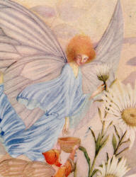 Detail from Horace Knowles' 'Fairies take morning dew from the Flowers to make the Queens'a clothes' from ''Peeps into Fairyland''