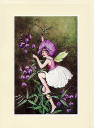 Greeting Card sample showing an image from ''A Bunch of Wild Flowers'' (1933), illustrated by Ida Rentoul Outhwaite