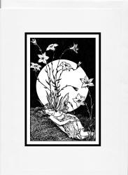 Greeting Card sample showing an image from ''A Bunch of Wild Flowers'' (1933), illustrated by Ida Rentoul Outhwaite