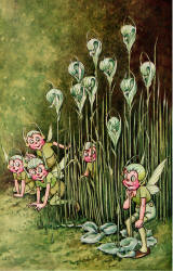 Ida Rentoul Outhwaite - 'Green-Hood Orchids' from ''A Bunch of Wild Flowers'' (1933)