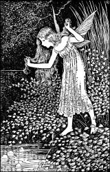 Ida Rentoul Outhwaite - 'Maiden Hair' from ''A Bunch of Wild Flowers'' (1933)