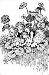Ida Rentoul Outhwaite - 'Wild Violets' from ''A Bunch of Wild Flowers'' (1933)