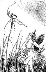 Ida Rentoul Outhwaite - 'Spider Orchid' from ''A Bunch of Wild Flowers'' (1933)