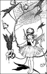Ida Rentoul Outhwaite - 'Bindweed' from ''A Bunch of Wild Flowers'' (1933)