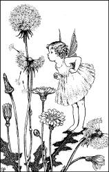 Ida Rentoul Outhwaite - 'Dandelion' from ''A Bunch of Wild Flowers'' (1933)