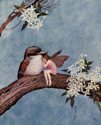 Ida Rentoul Outhwaite - 'Bridget cuddled up against a fat baby Kookaburra' from ''The Little Fairy Sister'' (1923)