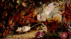 John Anster Fitzgerald's ''The Chase of the White Mouse''