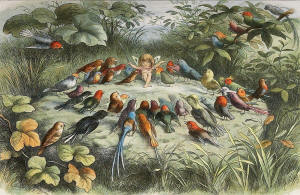 'A Rehearsal in Fairyland' by Richard Doyle from ''In Fairyland: A Series of Pictures from the Elf World''