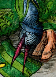 Detail from Plate 101 of the 1517 Edition of ''Theuerdank''
