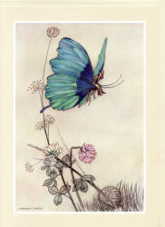 Greeting Card sample showing a Warwick Goble illustration from ''The Fairy Book'' (1913)