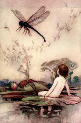 Warwick Goble - 'The thing whirred up into the air, and hung poised on its wings, ... a dragon fly, ... the king of all flies' from ''The Water-babies, a fairy tale for a Land-baby''
