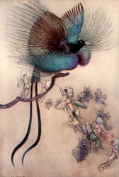 Warwick Goble - 'The most beautiful bird of paradise' from ''The Water-babies, a fairy tale for a Land-baby''